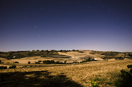 brown field under black sky thumbnail