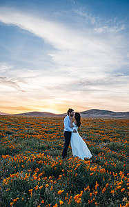 newlywed couple kissing on orange flower field during daytime thumbnail