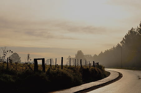 Black Curve Asphalt Road Beside Green Field thumbnail