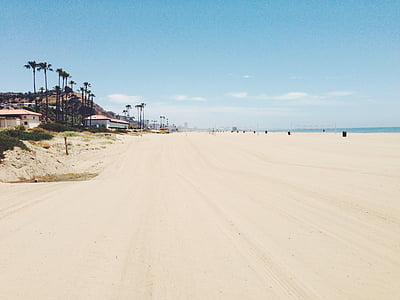beach seashore thumbnail