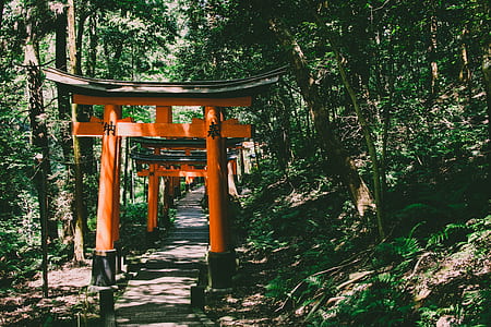 Inari shrine, Japan thumbnail