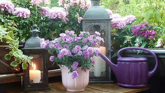 purple flowers beside candle lanterns and watering can thumbnail
