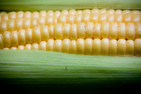 corn thumbnail