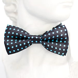 black and teal polka-dot bow tie thumbnail