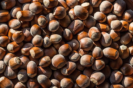 Plenty of Nuts thumbnail