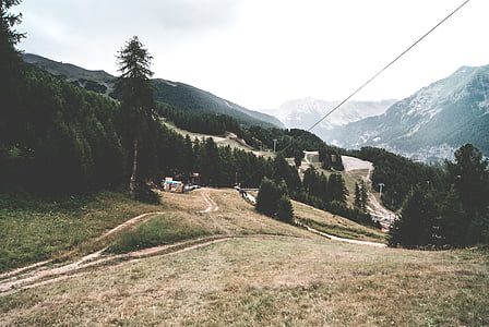 green leafed trees near mountain under white skies thumbnail