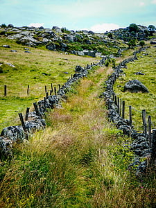 pathway surrounded by green grass thumbnail