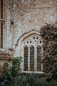 plants beside concrete building thumbnail