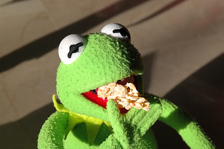 Kermit the Frog plush toy during daytime thumbnail