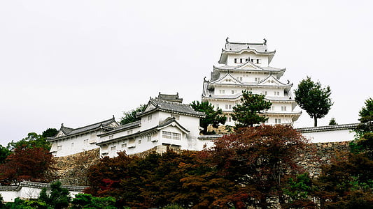 white concrete house surrounded trees under white sky thumbnail