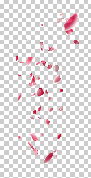 Poster, Floating Petals, pink flower petals PNG clipart