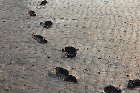 footprints on mudland thumbnail