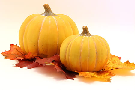 yellow pumpkins thumbnail