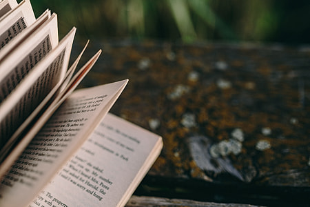 Reading book at lake thumbnail
