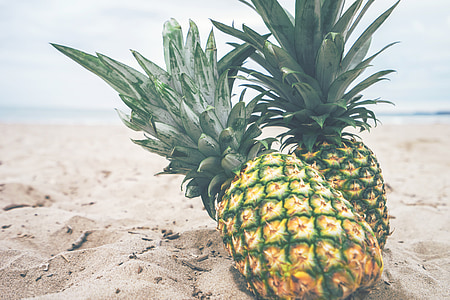 green pineapples on brown sand in shallow focus photography thumbnail