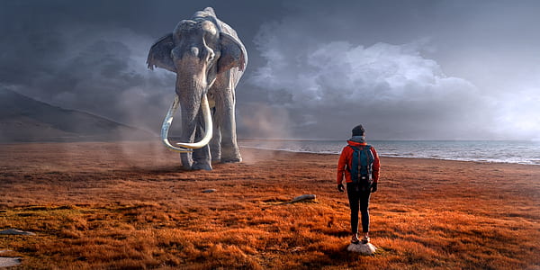 man wearing red jacket standing in front of an gray elephant thumbnail