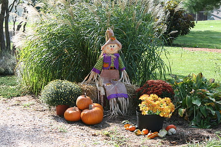 scarecrow and several pumpkins thumbnail