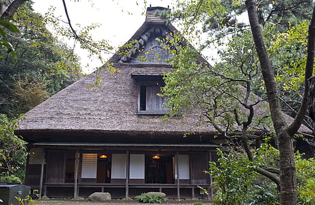 brown house surrounded green leafed trees under white sky thumbnail