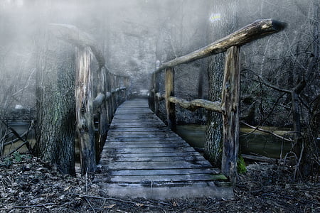 gray wooden bridge thumbnail