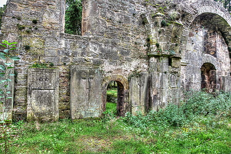 gray ruins near surrounded by green leafed plants thumbnail