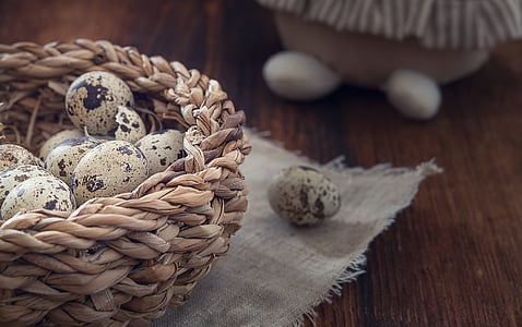 basket of quail eggs thumbnail