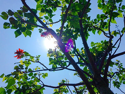 blue and white-colored sky thumbnail