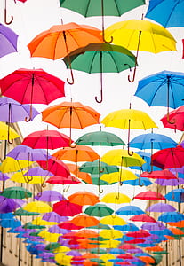 colorful, colourful, outdoors, bright thumbnail