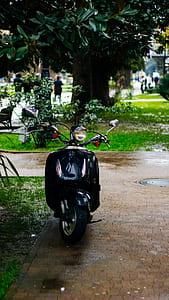 black motor scooter under the tree thumbnail