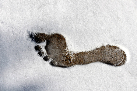 footprint on sand thumbnail