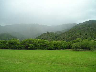 green trees between grass field and mountains with fogs thumbnail