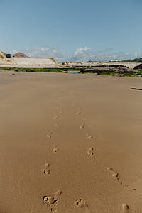 Footprints on a sandy beach, Portugal thumbnail