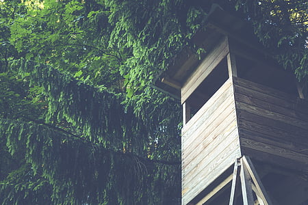 brown wooden tree house at daytime thumbnail