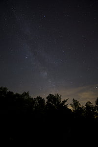 silhouette of trees during nighttime thumbnail