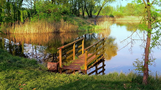 brown wooden deck on body of water at daytime thumbnail