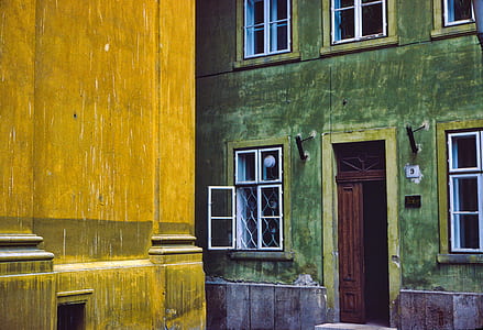 photography of green painted house thumbnail
