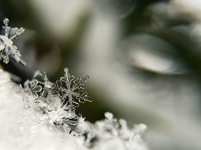 focus photo of snowflakes thumbnail