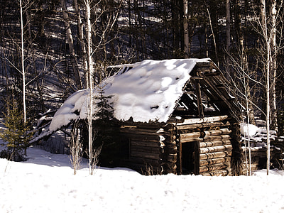 brown wooden house thumbnail