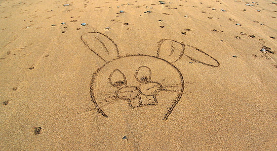 bunny illustration on brown sand thumbnail