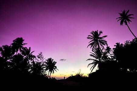 dawn, landscape, nature, sunset thumbnail