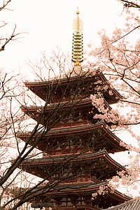 Japanese tower with cherry blossom trees thumbnail