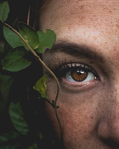 human left eye beside green leaf plant thumbnail