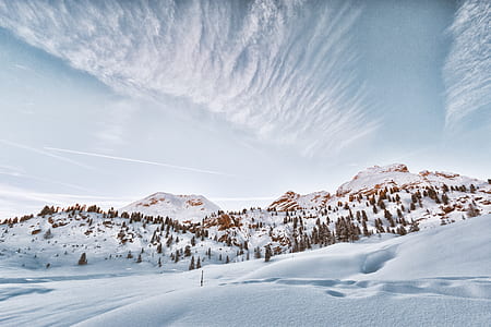 mountain and trees covered with snow thumbnail