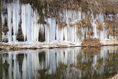 photo of body of water near white and brown leaves thumbnail