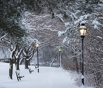 black street light during winter season thumbnail