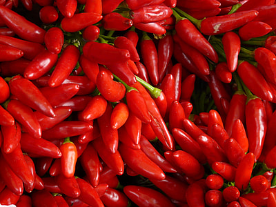 bunch of red chili peppers thumbnail