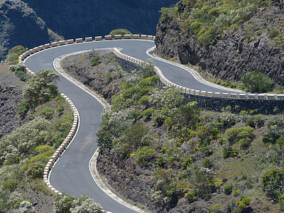road surrounded by trees thumbnail