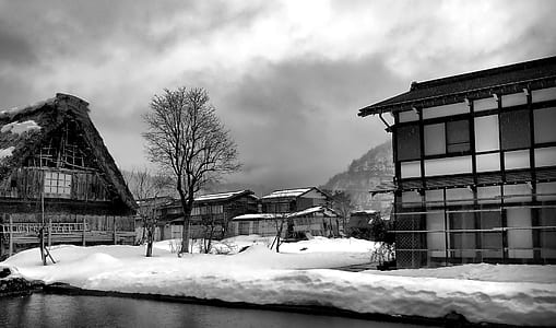 Greyscale Photo of Snow Field and House Painting thumbnail
