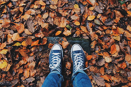 person wearing pair of blue low-top sneakers and blue jean stepping on ground covered with withered leaves thumbnail
