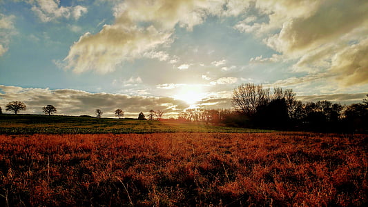 grass field under blue and white sky thumbnail