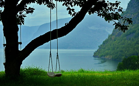 white swing hanging on tree thumbnail